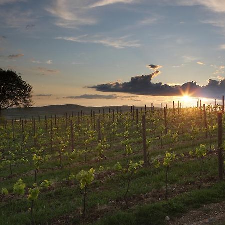 Agriturismo Poggio Al Sasso Blera Екстер'єр фото
